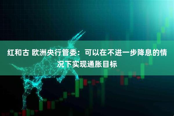 红和古 欧洲央行管委：可以在不进一步降息的情况下实现通胀目标